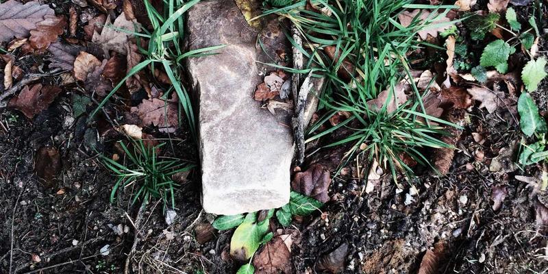 从成分到技巧：科学美妆与高效护肤的全攻略