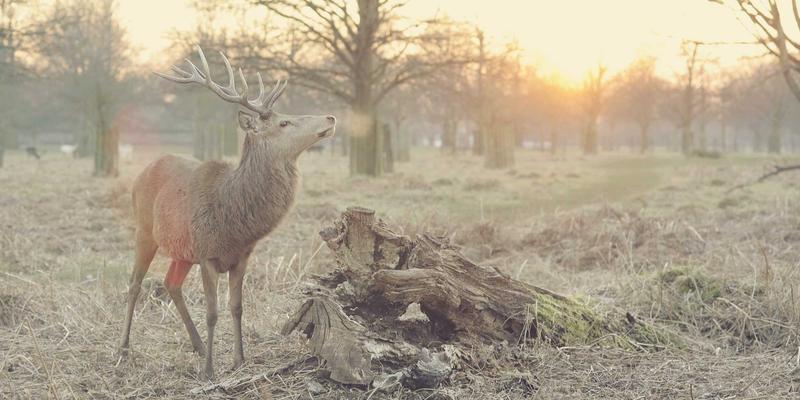 从美容护肤到心灵疗愈：晚间护肤流程如何成为你的专属减压仪式