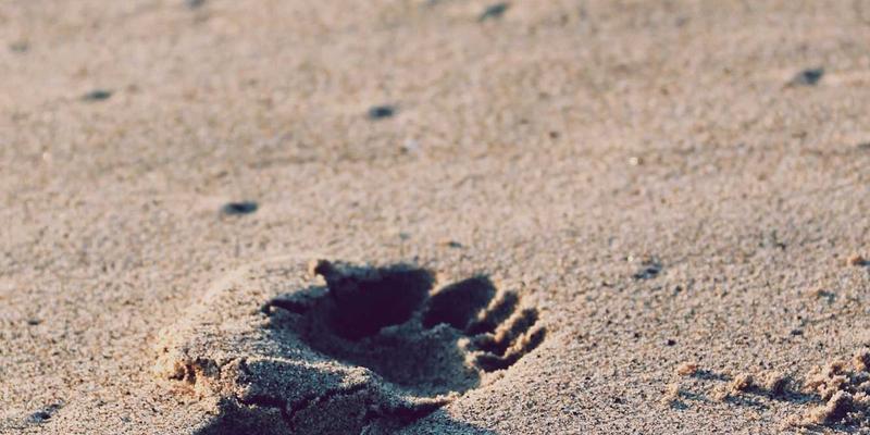 从“脸冰”现象到科学护肤:三个美容护肤案例的深度解析