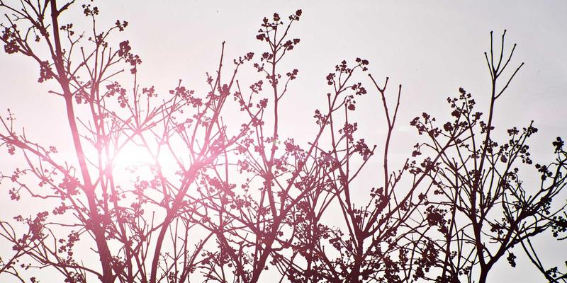 成分分析解码美妆奥秘:科学护肤技巧助你精准养肤