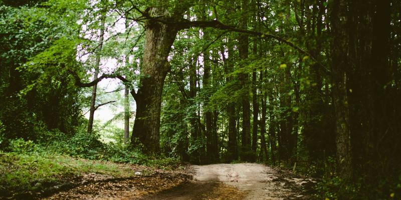 敏感肌换季护肤全指南：告别泛红干痒，用对“脸冰”技巧与科学测评法