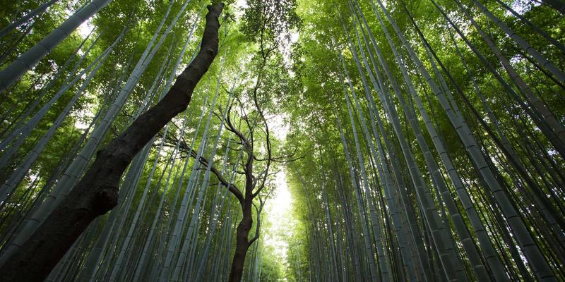 熟龄肌抗老全攻略：胜肽、玻色因协同护肤技巧与化妆品测评，揭秘“脸冰”焕肤法