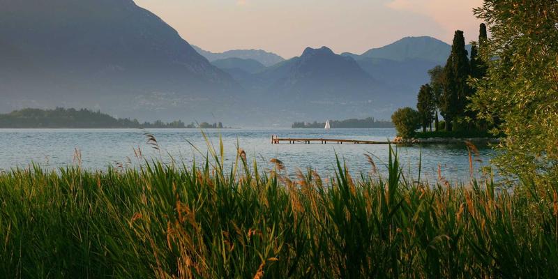 科学护肤全攻略:成分解析与美妆资讯,打造健康肌底