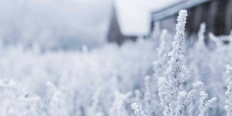 美容护肤全攻略：如何建立科学有效的晨间与夜间护肤步骤