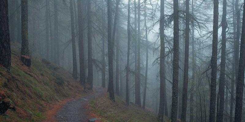 美容护肤必修课：清洁、保湿、修复面膜如何科学搭配与使用？