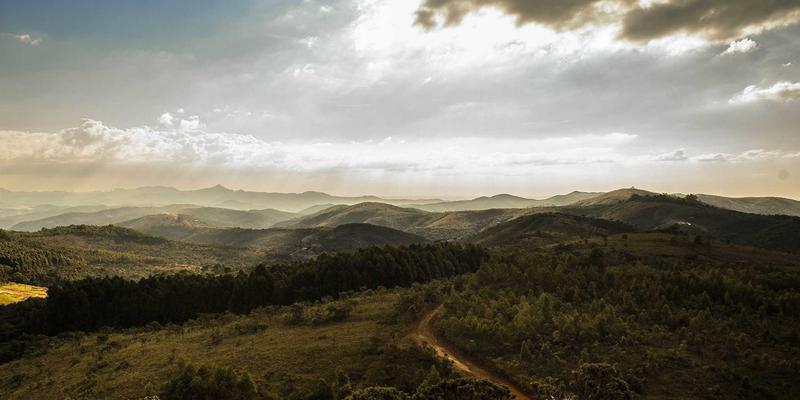 脸冰护肤技巧进阶：揭秘“以油养肤”的适用肤质与精华油选择测评