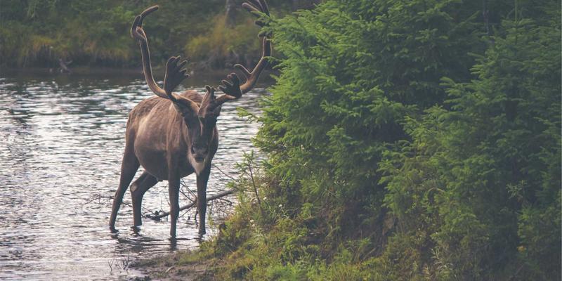 脸冰护肤法爆火!是美妆黑科技还是智商税?实测5款热门产品