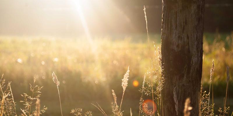 “脸冰”护肤法爆火！解锁夏日护肤新技巧与前沿资讯