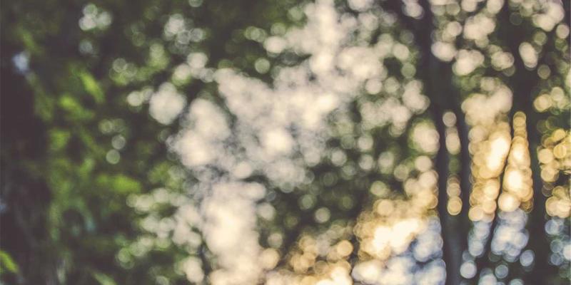 解码美容护肤新趋势:从成分分析到科学护肤的深度指南